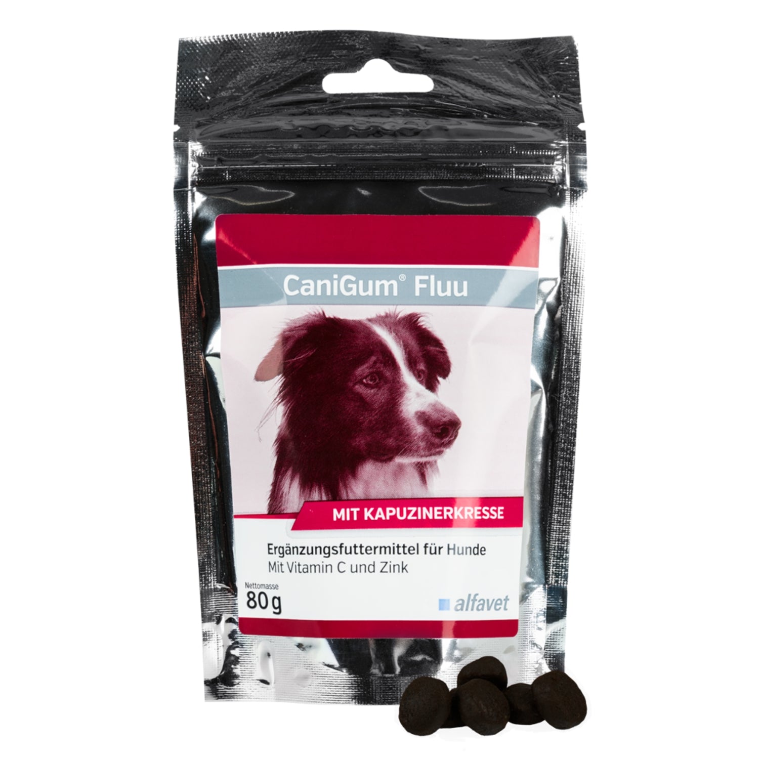 CaniGum Fluu 80g