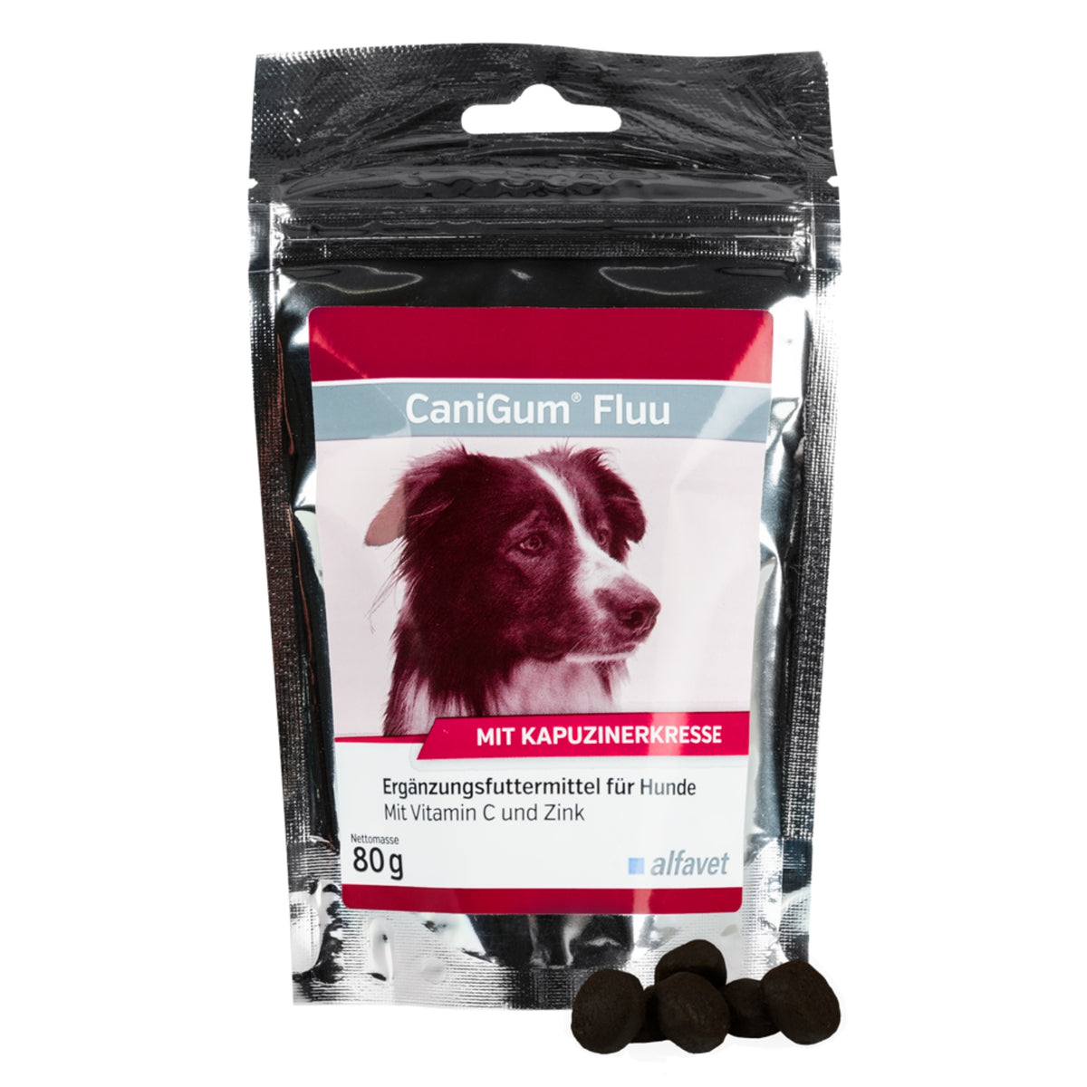 CaniGum Fluu 80g