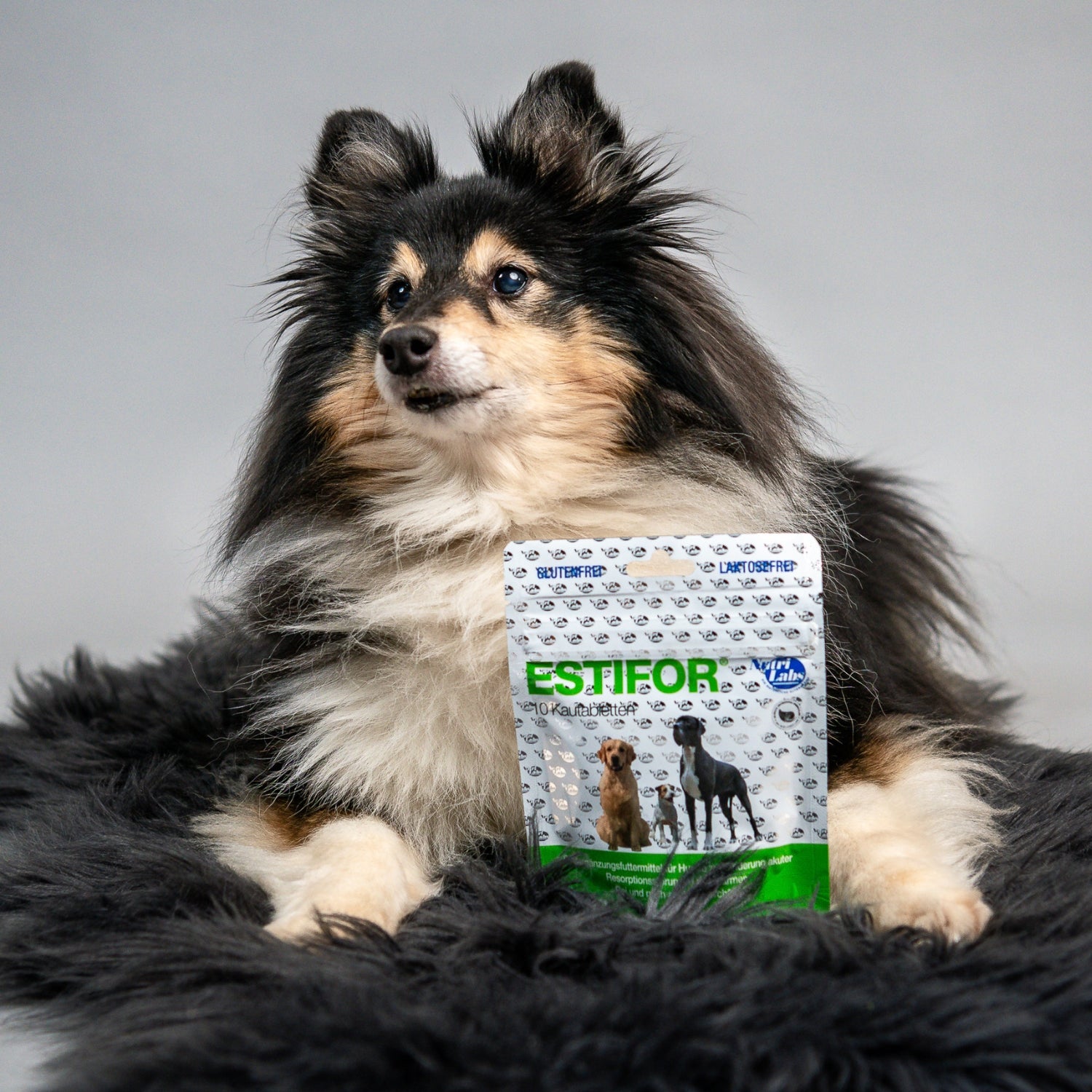 Estifor Kautabletten 10 Stück