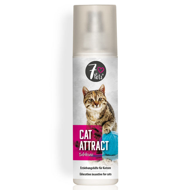 Schopf 7Pets Katze Cat Attract Baldrian 200ml