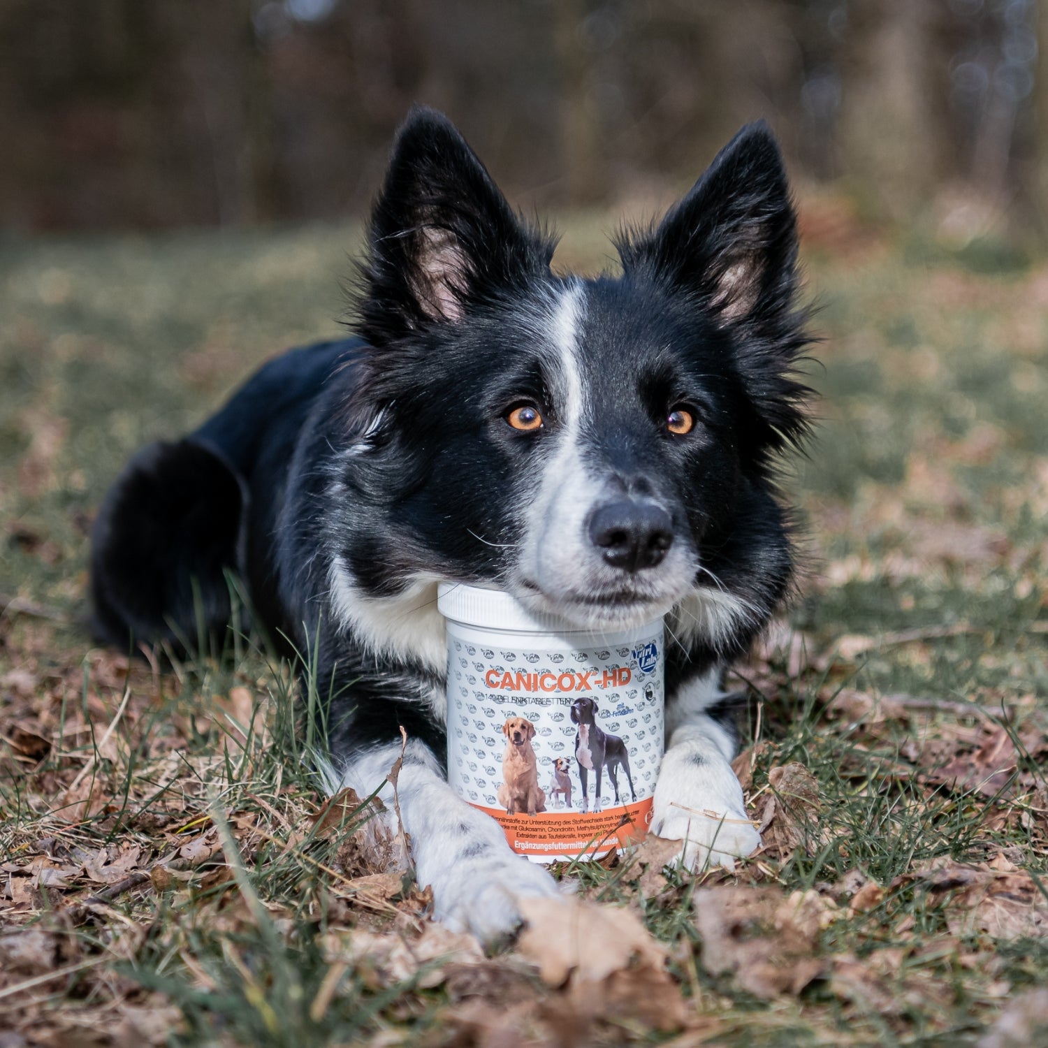 Canicox-HD 140 Kautabletten