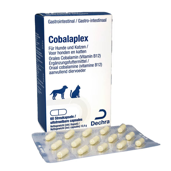 Cobalaplex Hund & Katze 60 Streukapseln