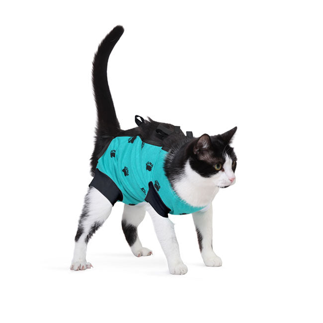 Bauchverband für Hunde und Katzen Türkis S 28cm