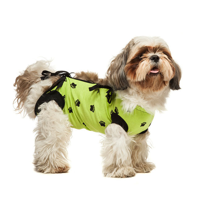 Bauchverband für Hunde und Katzen Türkis M 36cm