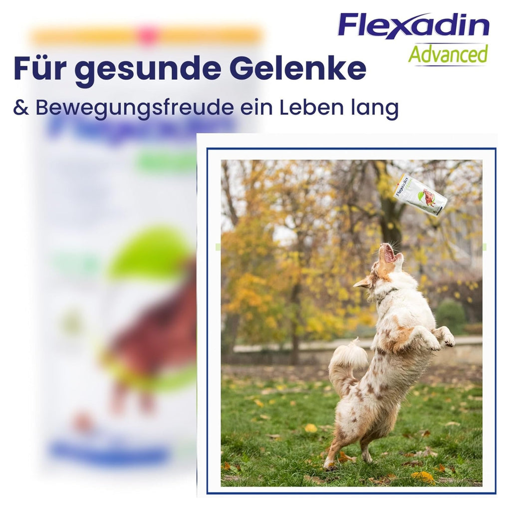 Flexadin advanced 30 chews MHD 01.02.2026
