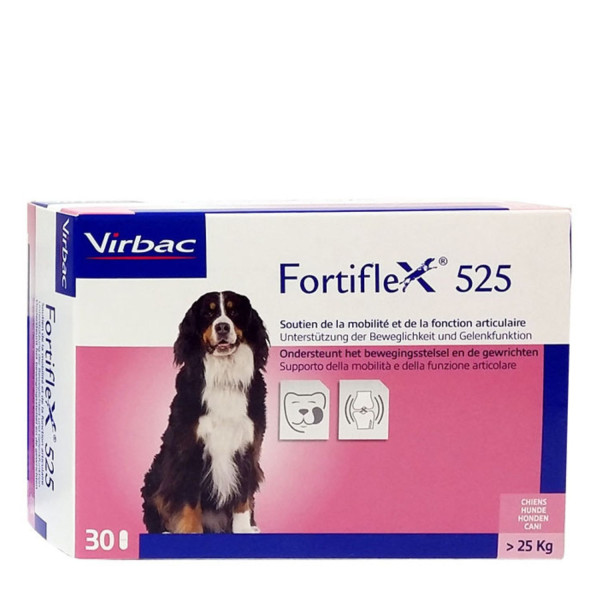 Fortiflex 525 mg 30 Tabl.